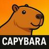 Capybara Wallpapers HD