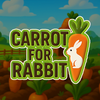 Carrot for Rabbit