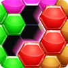 Hexa Puzzle Game
