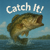 Catch It! - fisherman's diary