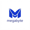 Megabyte Data