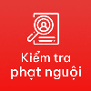 Vietnamese Cold Penalty Lookup