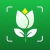 Leafy: Plant Identifier