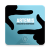 Artemis Director's Viewfinder