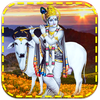 Lord Krishna Live Wallpaper