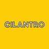 Cilantro