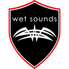 Wet Sounds WS-DSP
