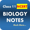 Class 11 Biology Notes