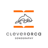 CleverOrcaSono