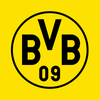 BVB eAcademy
