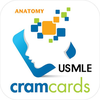 USMLE Step 1 Anatomy