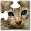 Cats Jigsaw Puzzles