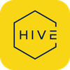 The Hive Hostels