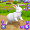 Cute Bunny Life Simulator 3D