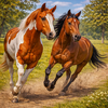 Wild Horse Life Simulator 3D
