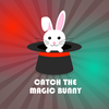 Catch the magic bunny