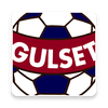 Gulsetcup