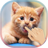 Magic Touch Cat Live WallPaper
