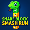 Snake Block Smash Run