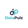 Datapulz