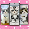Cat Wallpapers Cute