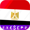 Fast Egyptian Pound converter