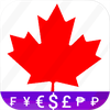 Fast Canadian Dollar converter