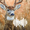 Deer Hunting Calls
