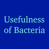 Importance of Bacteria