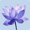 Lotus Wallpapers