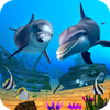 Dolphin Fish Wallpapers App