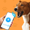 Dog Translator & Dog Training
