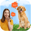 Dog Voice Translator Simulator