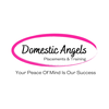 Domestic Angels Academy