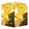 AppLock Live Theme Ginkgo