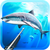 Spearfishing. Marine life.