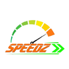 Speedz Express Courier Driver