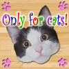 Only for Cats