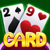 29 Card Game - Play Offline