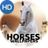 Wallpapers 4K with horses