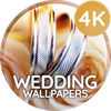 Wedding Wallpapers 4K