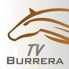 TVBURRERA