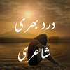 Urdu Sad Shayari: Dard Status
