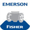 Emerson Severe Service
