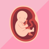 Pregnancy Tracker - Baby App