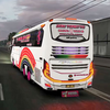 City Coach Bus 3D Bus Driving