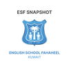 ESF Snapshot
