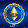 Ethereum Miner Cloud Sim