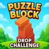 Puzzle Block Drop Challenge