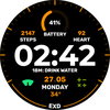 EXD047: Digital Watch Face